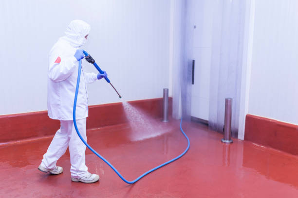 Best Sidewalk and Walkway Cleaning  in Henning, TN