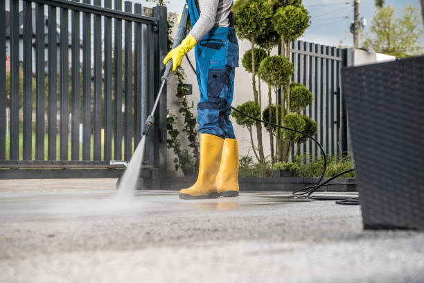 Best Roof Washing  in Henning, TN