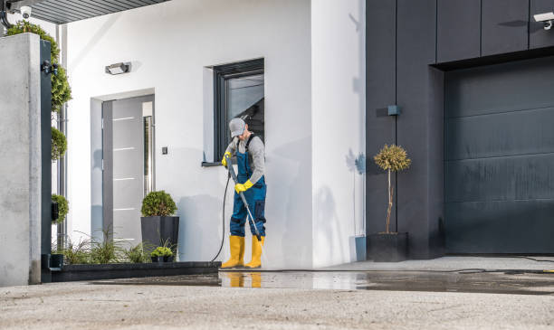 Best Solar Panel Cleaning  in Henning, TN